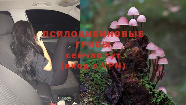 молекула духа Абаза