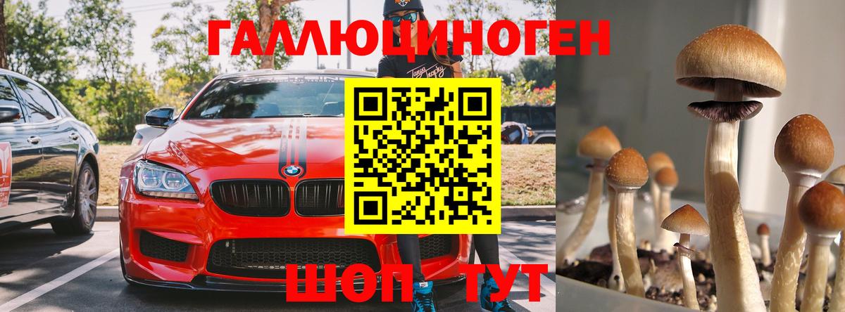 Ангарск  Псилоцибиновые грибы MAGIC MUSHROOMS  Вход с VPN 
